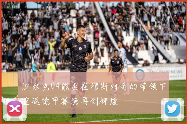 沙尔克04能否在穆斯利奇的带领下重返德甲赛场再创辉煌