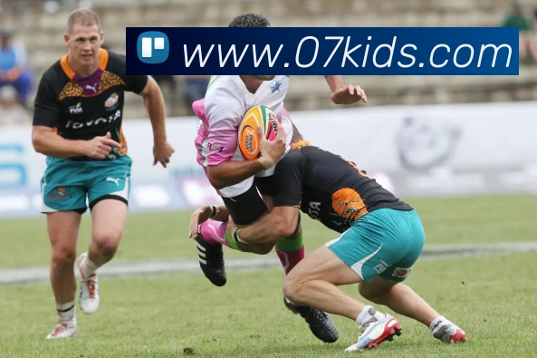 米兰app入口全站App